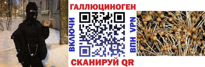 Галлюциногенные грибы ЛСД  Баймак 